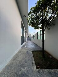 Lim Tua Tow Road (D19), Terrace #514574571